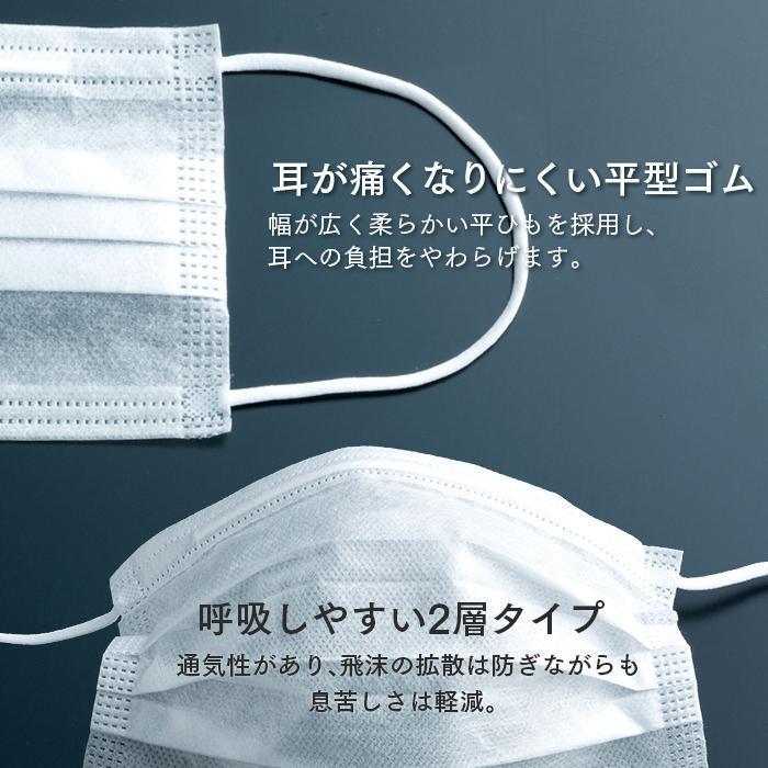 エコノミーマスク 100枚X50箱 ケース販売の画像