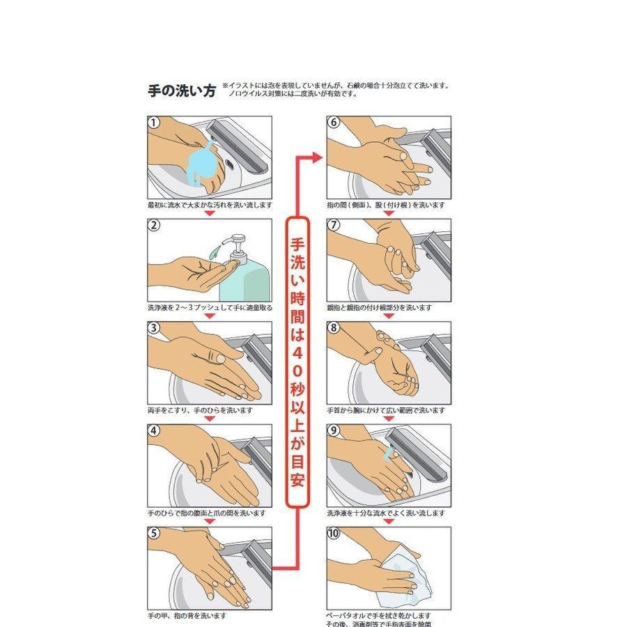ウィルバス-S　100PPM　500ml　スプレー付　24本入_7