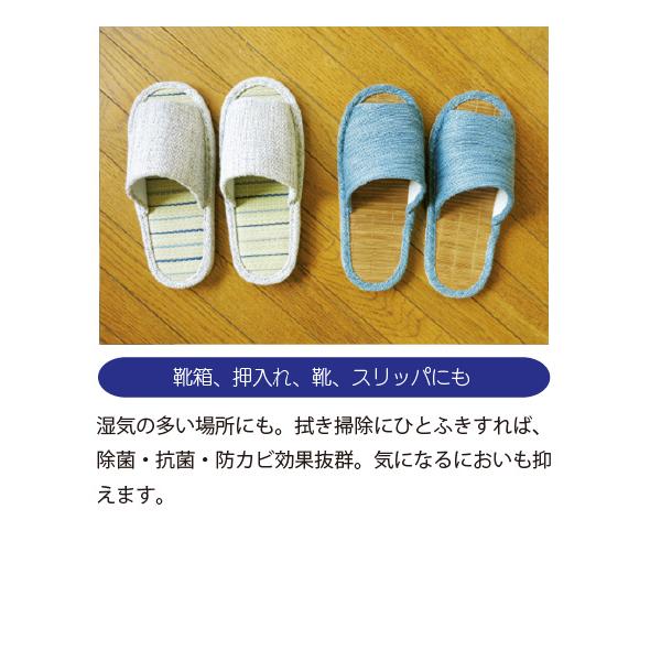 パストリーゼ77 500ml スプレーヘッド 24本入の画像