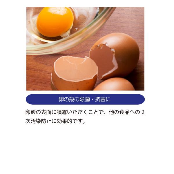 パストリーゼ77 500ml スプレーヘッド 24本入の画像