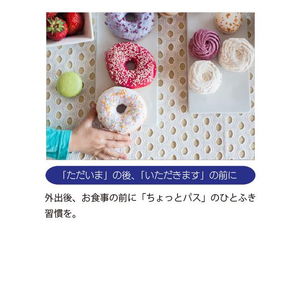 パストリーゼ77 500ml スプレーヘッド 24本入の画像