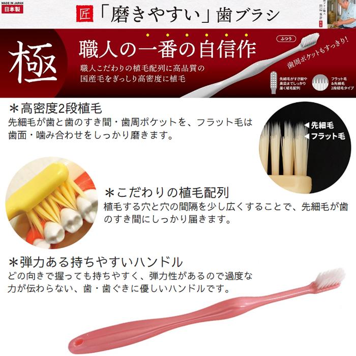 歯ブラシ 「磨きやすい」歯ブラシ 極 6本入 2個セット 日本製 ネコポス発送  ふつう｜as-store｜02