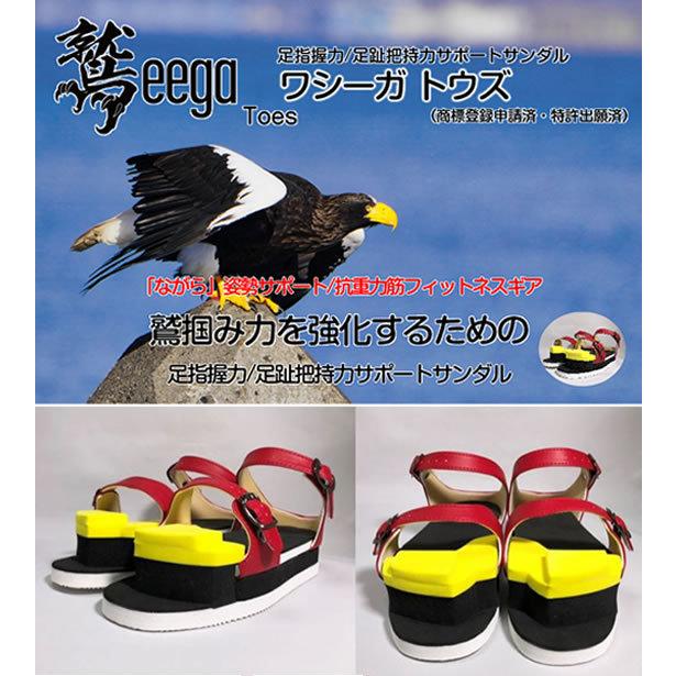 腸内環境株式会社 WT001 ワシーガ・トウズ 足指握力（足趾把持力）強化 足指握力強化トレーニング用サンダル シンスプリント治療できる器具