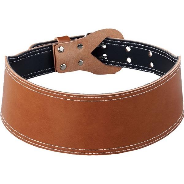 ダンノ（DANNO） D1112 ウエルネス リフティングベルト L 19SS