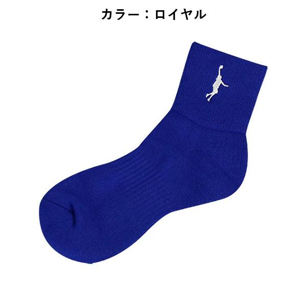 ＜ネコポス発送 送料無料＞ インザペイント（IN THE PAINT）　ITP25121　バスケットボール　ソックス　25SS |  | 05