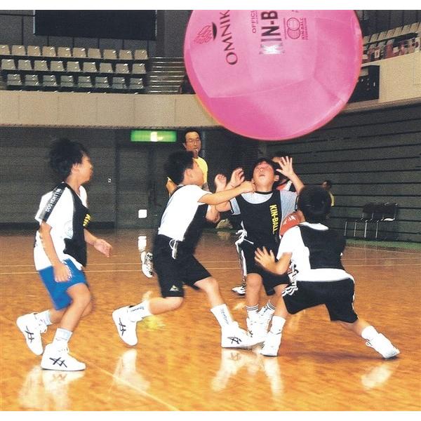 サンラッキー サンラッキー（Sunlucky） KIN100P リクレーション