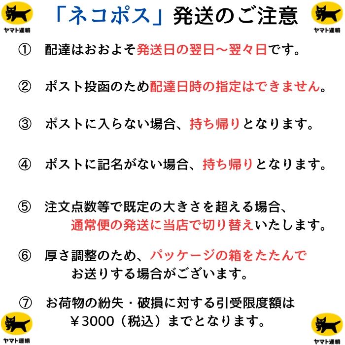 YONEX（ヨネックス） ＜ネコポス発送 送料無料＞ BG66UM 004