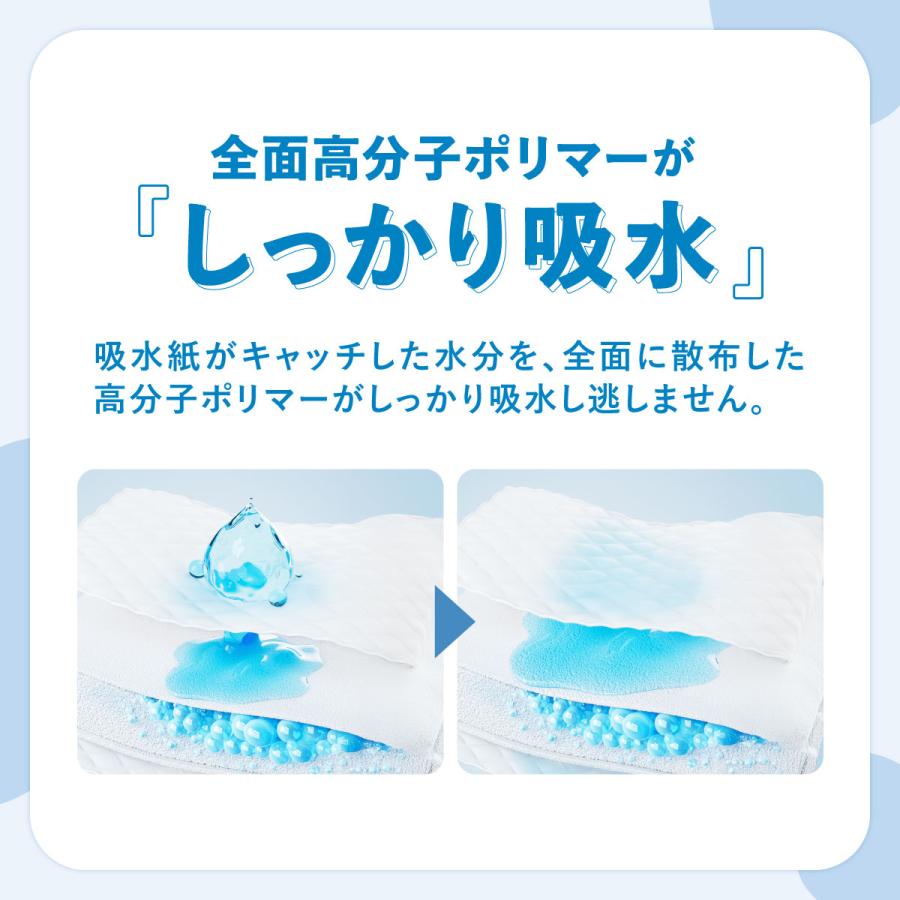 ペットシーツ 薄型 厚型 レギュラー ワイド スーパーワイド Famy ファミー JPPMA認証 ペットシート  送料無料 トイレシート 犬 | Famy | 11