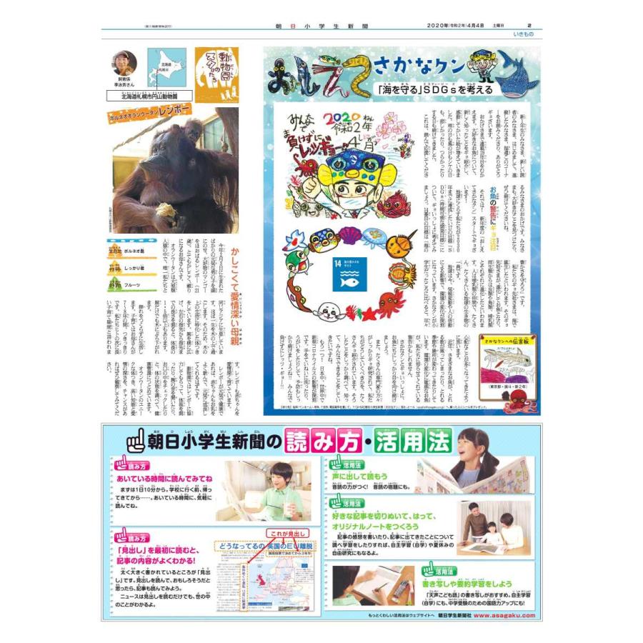 ギフ 包装 朝日小学生新聞3ヶ月分