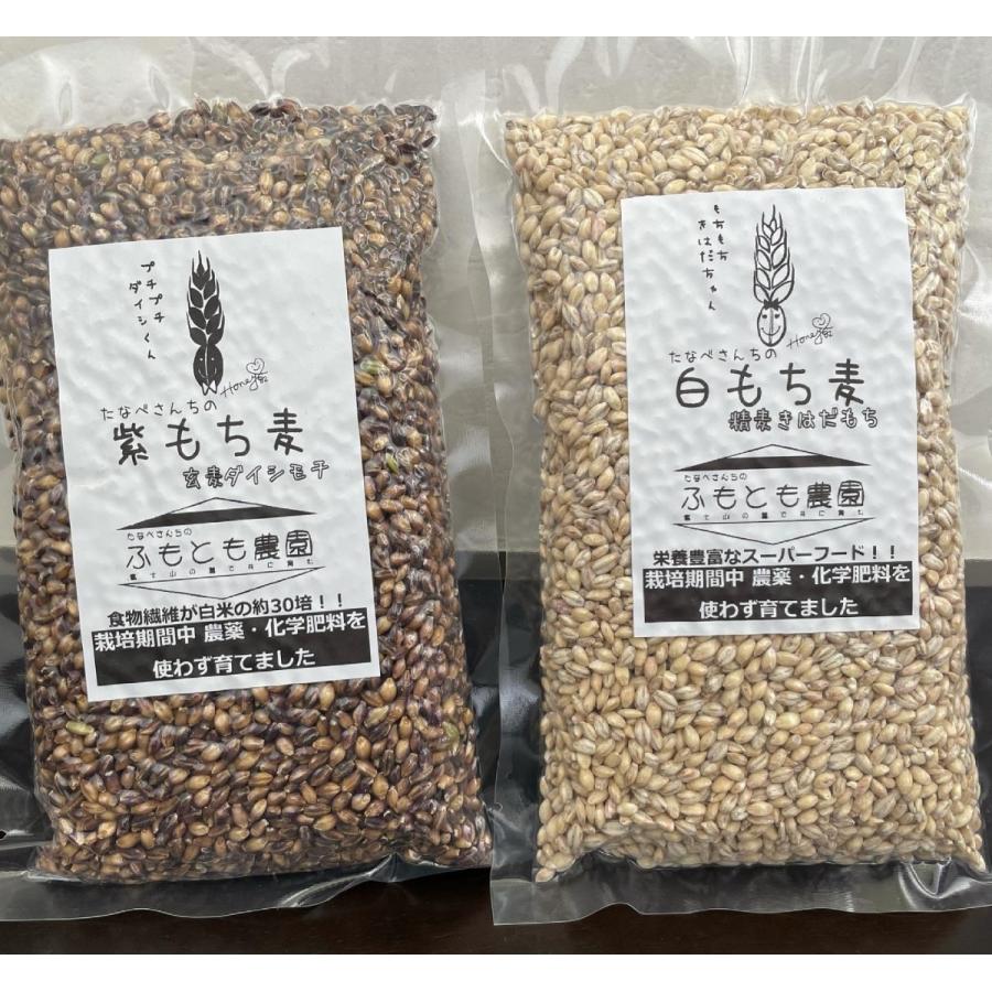もち麦（ダイシモチ）玄麦1kg : 道の駅朝霧高原 富士山あさぎり