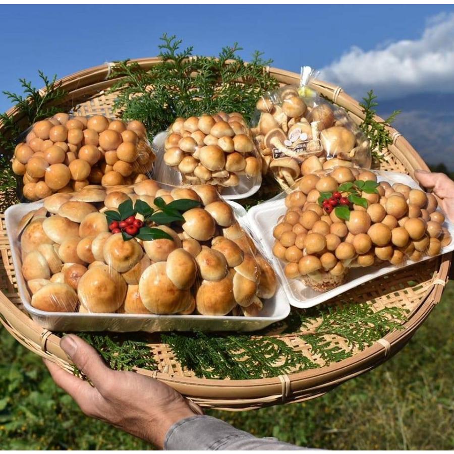 ジャンボなめこ 朝霧産 400g｜大きくぷりぷり 食感良し／鍋・炒め物に