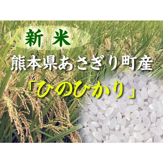 【2021最新作】新米 ひのひかり 玄米 5kg 令和4年産 熊本県 あさぎり町産  安い セール