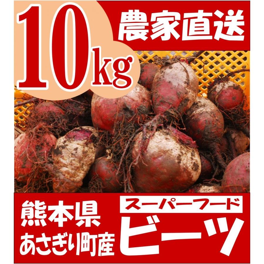 有機 ビーツ １０ｋg 熊本県産 野菜 栄養 予約販売｜asagiri-nouen