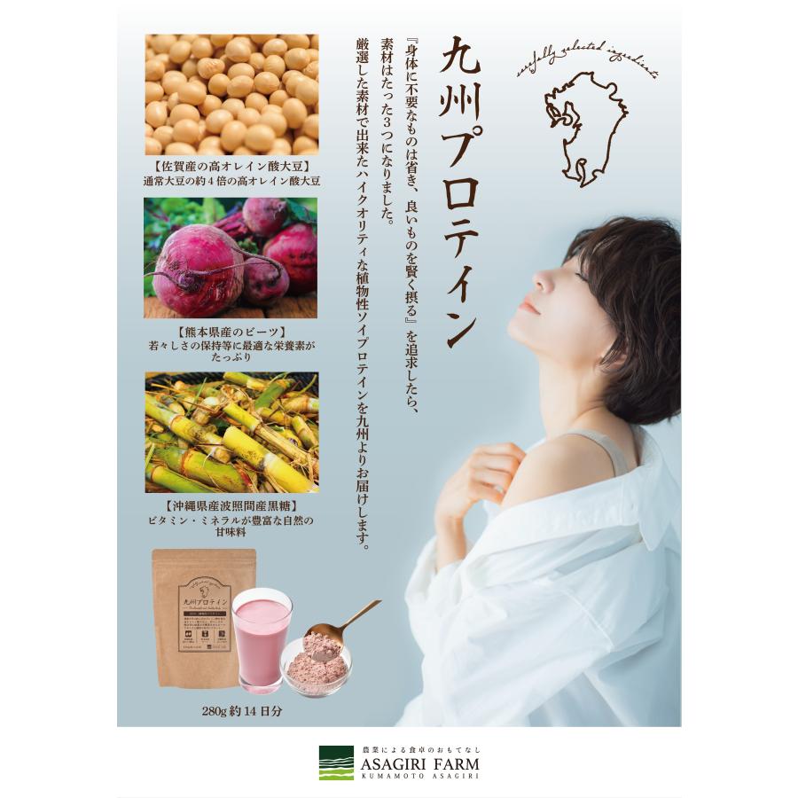 九州プロテイン 280ｇ 14食入りx８袋 約４ヶ月分 送料無料 たんぱく質 おきかえ ダイエット タンパク質 ビーツの画像
