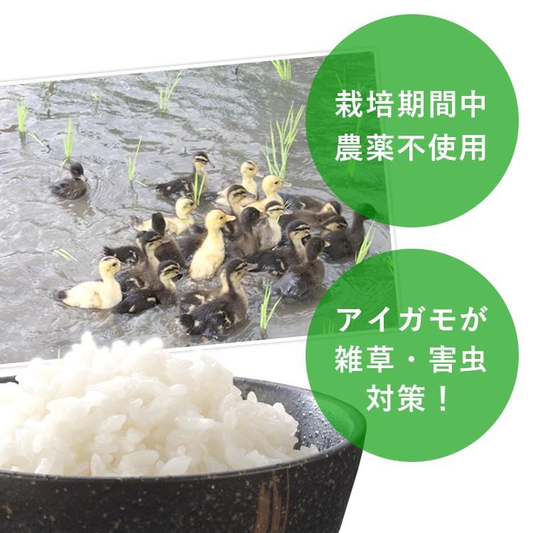 令和7年産 合鴨農法米 ヒノヒカリ 15kg 送料無料 選べる精米歩合 お米 白米 玄米 5分づき 7分づき 熊本県産 アイガモ 合鴨 農薬不使用 化学肥料不使用_1