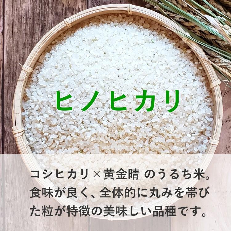 令和7年産 合鴨農法米 ヒノヒカリ 15kg 送料無料 選べる精米歩合 お米 白米 玄米 5分づき 7分づき 熊本県産 アイガモ 合鴨 農薬不使用 化学肥料不使用_2