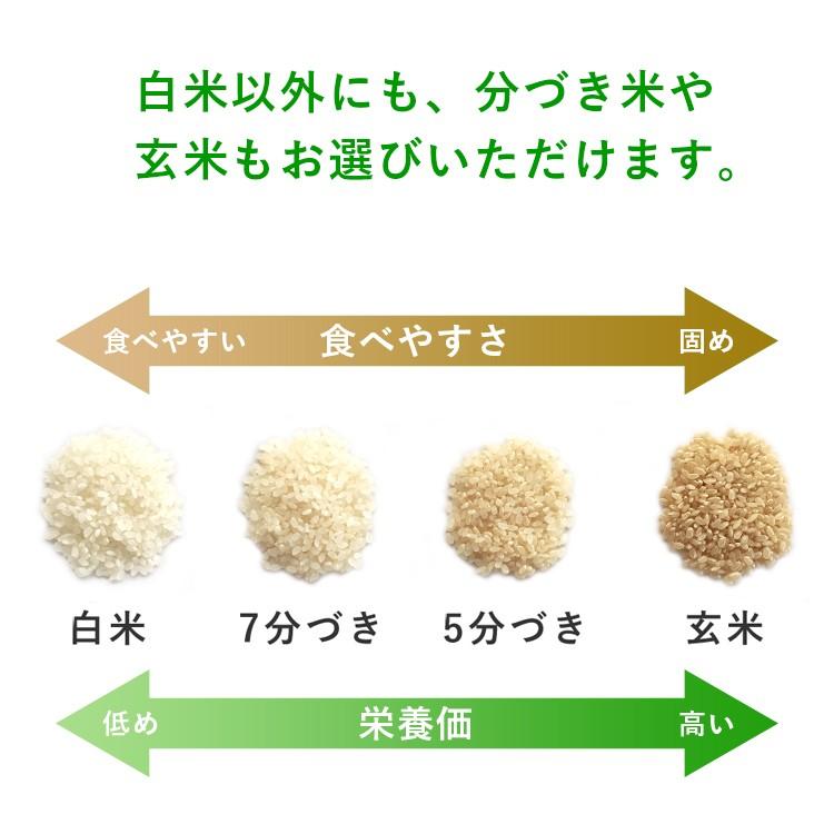 令和7年産 合鴨農法米 ヒノヒカリ 15kg 送料無料 選べる精米歩合 お米 白米 玄米 5分づき 7分づき 熊本県産 アイガモ 合鴨 農薬不使用 化学肥料不使用_3