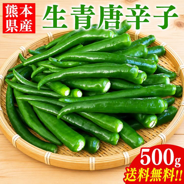 国産 青唐辛子 500g 〜 1kg 送料無料 熊本県産 辛口 生青唐辛子 唐辛子
