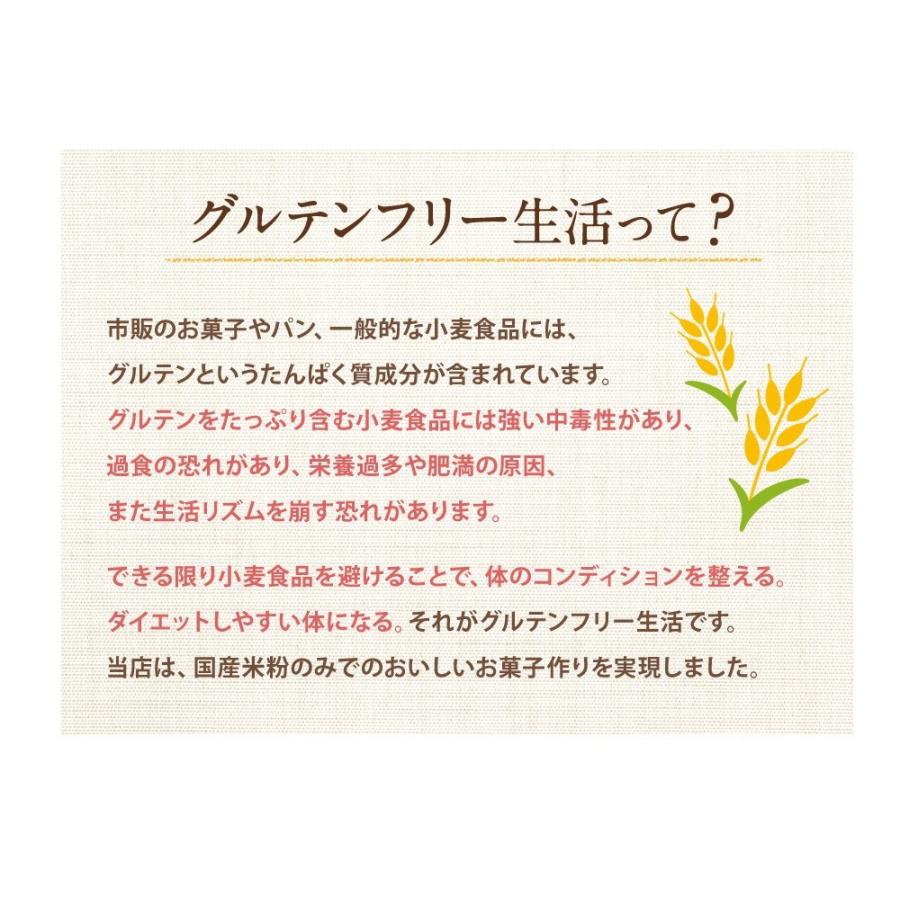 グルテンフリー 米粉屋さんのグルフリサブレ クッキー 焼き菓子 ダイエット 置き換え お菓子 焼き菓子 送料無料 ポイント消化｜asagohan｜06