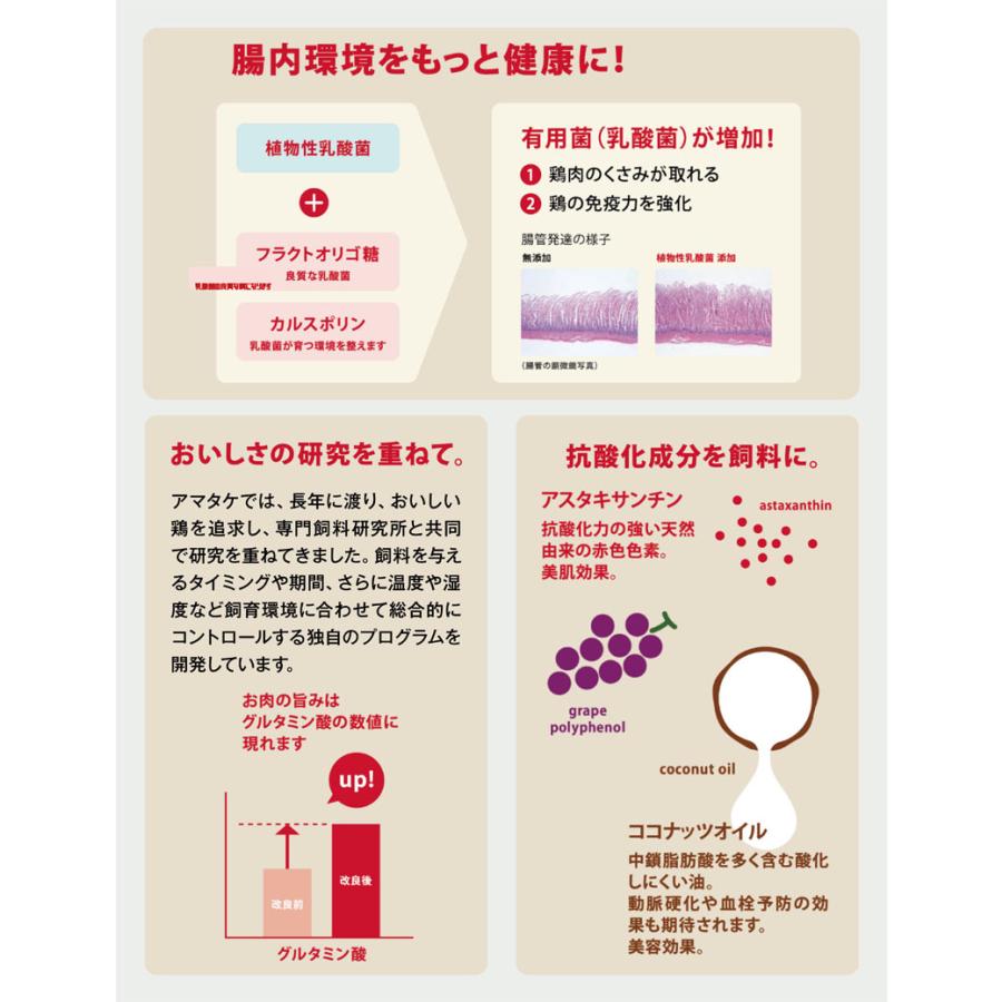 ★入手困難★【鶏肉】選べる36個まとめ買いセット アマタケ 国産 サラダチキン 冷凍タイプ 鶏肉 鶏むね肉 リン酸塩不使用 健康 ダイエット 置き換え お歳暮 内祝い ギフト