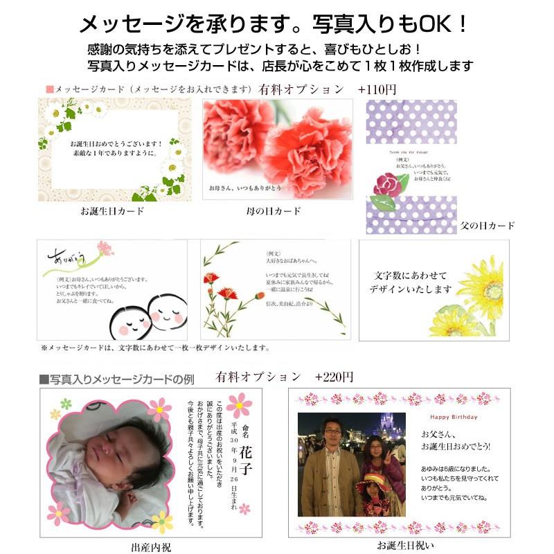 大人気 鶏しゃぶ 鍋セット はかた一番どり お取り寄せ鍋 お中元 ギフト メッセージカード対応 冷凍 Supplystudies Com