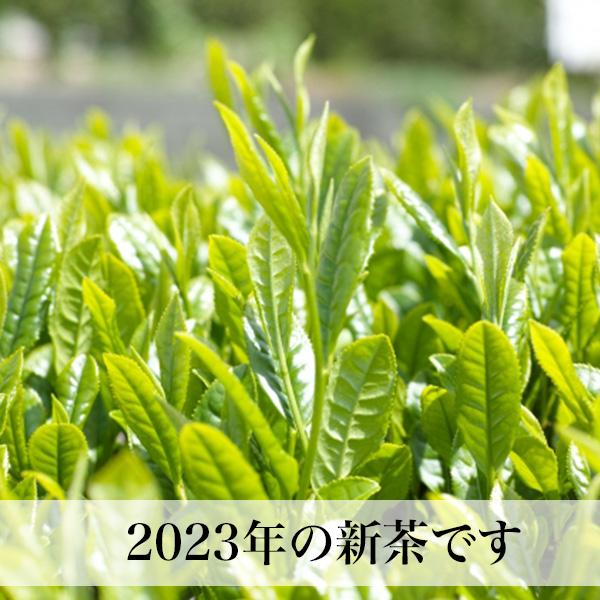 八女茶 玉露 山姫 80g 星野村 福岡産 メール便｜asagohanhonpo｜02