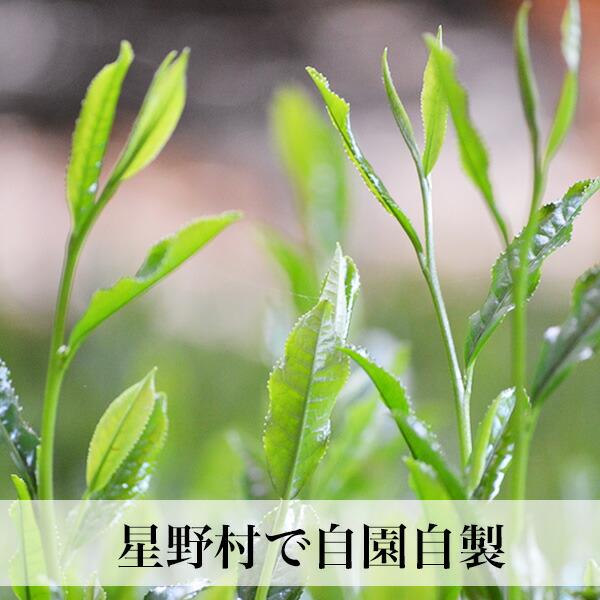 抹茶 姫みどり 20g缶 星野村 茶道 薄茶 粉末 抹茶粉末 Matcha Japanese