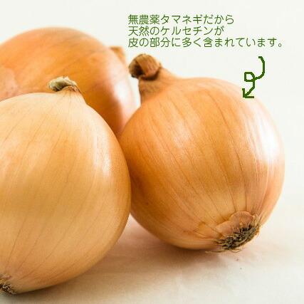 オーガニック 玉ねぎの皮茶 25包 玉ねぎ皮茶 無農薬 有機たまねぎ100