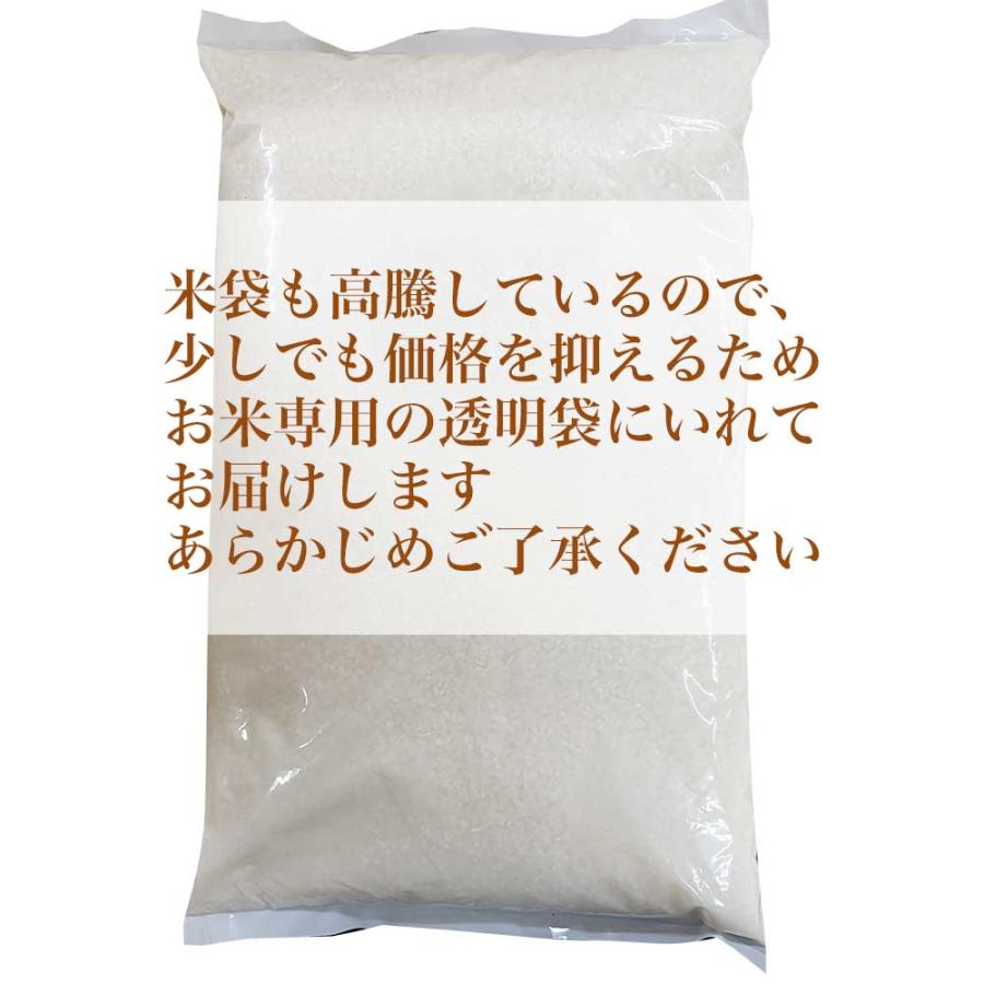 夢つくし 【新米】夢つくし 白米 5kg 福岡県産 令和7年産 コメ 米 こめ
