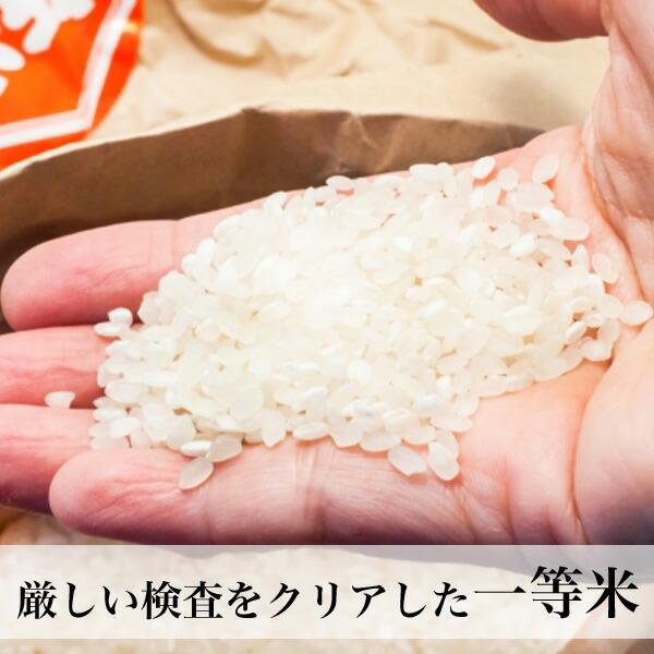 くまさんの力 無洗米 10kg 熊本県産 令和5年産 米 コメ こめ｜asagohanhonpo｜03