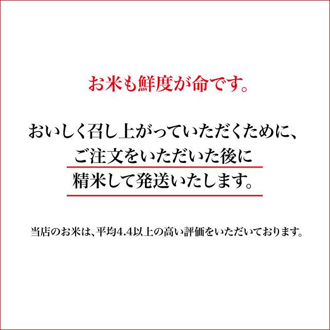 さがびより 無洗米 10kg コメ 米 一等米 佐賀県産 令和5年産｜asagohanhonpo｜10