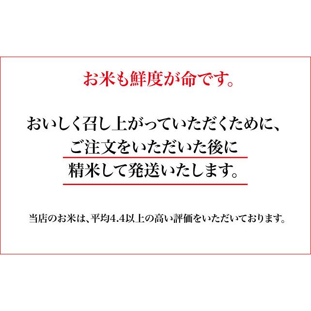 くまさんの力 無洗米 5kg 熊本県産 令和5年産 米 コメ こめ｜asagohanhonpo｜08