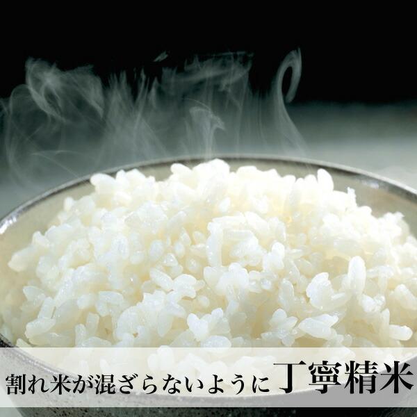 夢つくし 無洗米 10kg 福岡県産 令和7年産 コメ 米 こめ : 朝ごはん