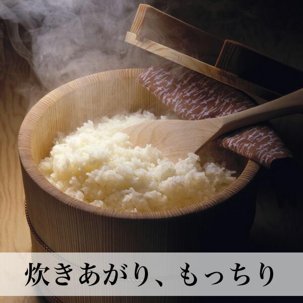 元気つくし 無洗米 10kg 特A 福岡県産 令和5年産｜asagohanhonpo｜06