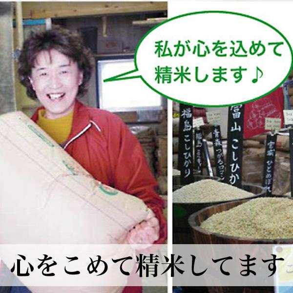 恋の予感 無洗米 5kg  一等米 山口県産  令和5年産｜asagohanhonpo｜08