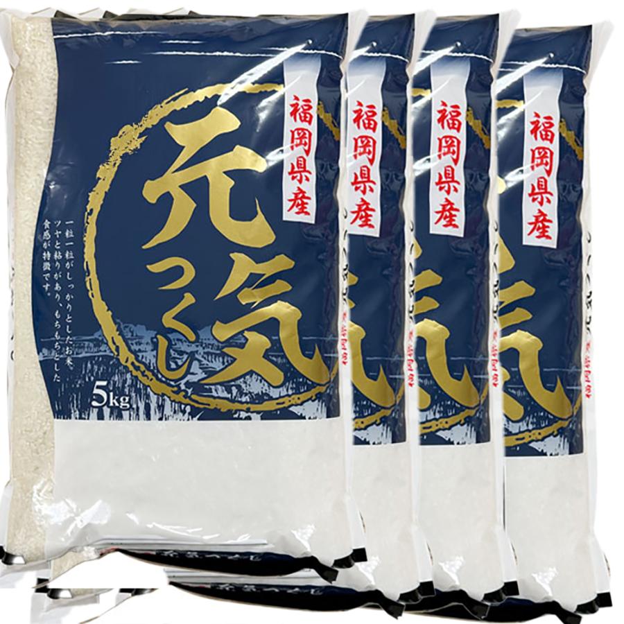 令和7年産　福岡県産米　元気つくし20kg 白米 元気つくし 20kg 白米 福岡県のお米 令和7年産 : 朝ごはん本舗 - 通販