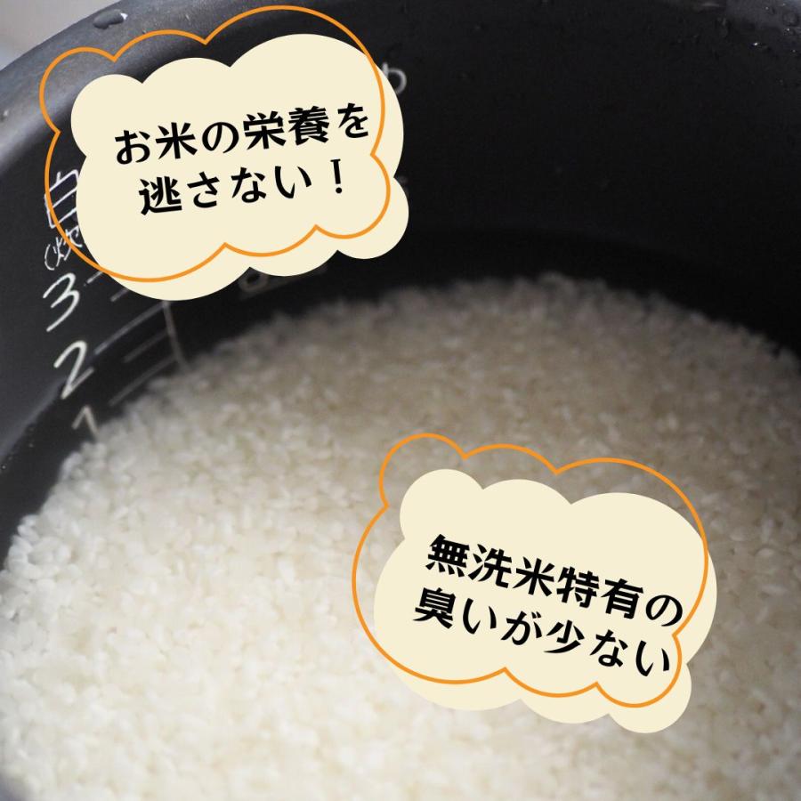 ニャンコ先生専用】米 2kg ☓10 真空パック 令和5年産