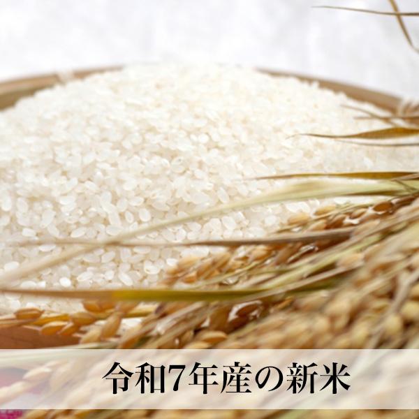 夢つくし 無洗米 20kg 福岡県産 令和7年産 コメ 米 こめ : 朝ごはん