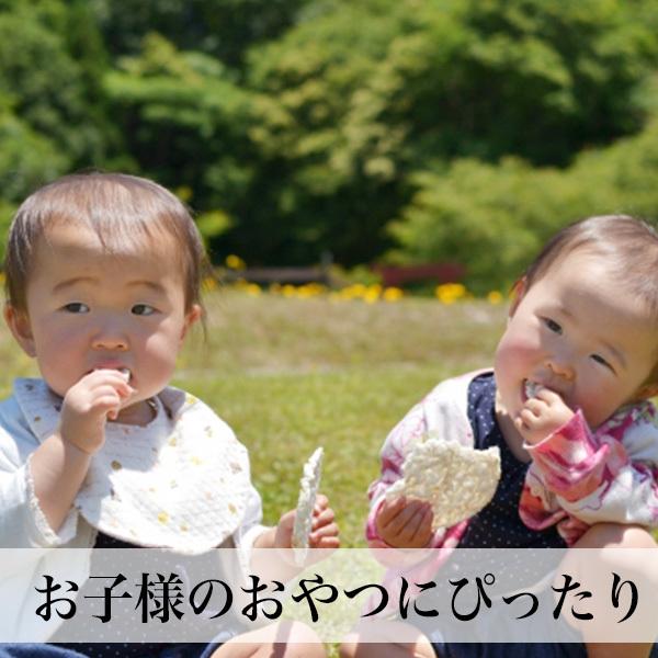 ポン菓子 2種類入 お試しセット無添加 無着色 福岡県産メール便 赤ちゃん 超歓迎された 離乳食 おやつ
