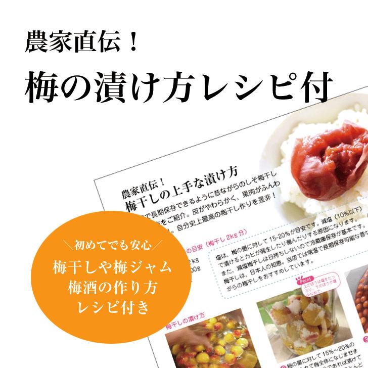 小梅 梅干し用 七折れ小梅 2kg 大分県大山産 Na19 朝ごはん本舗 通販 Yahoo ショッピング
