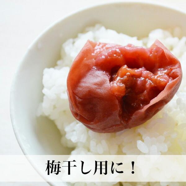 赤しその葉 もみしそ 500g 無添加 2023年度産 福岡県産 赤しそ 赤しその葉 もみしそ 500g 無添加 2023年度産 福岡県産 赤しそ