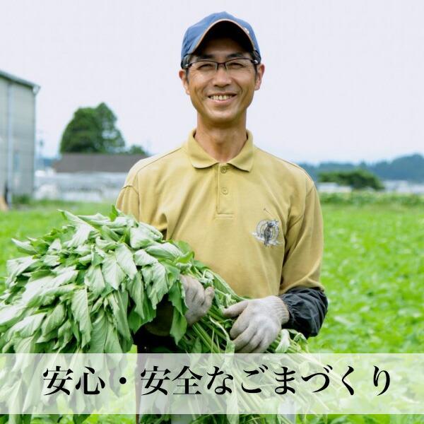 国産ごま 黒ごま 煎りごま 2袋入 無農薬 無化学肥料 除草剤不使用 宮崎