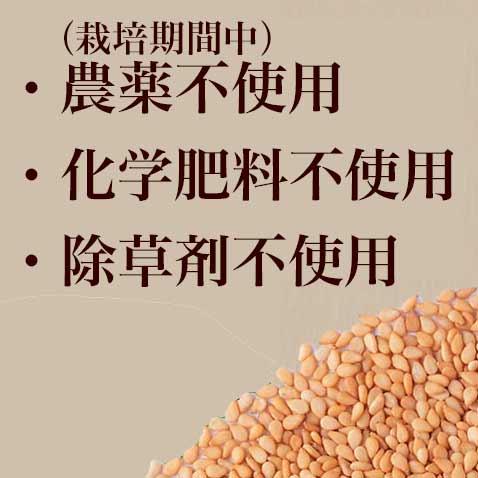 国産ごま 金ごま 煎りごま 2袋入 無農薬 無化学肥料 除草剤不使用 宮崎