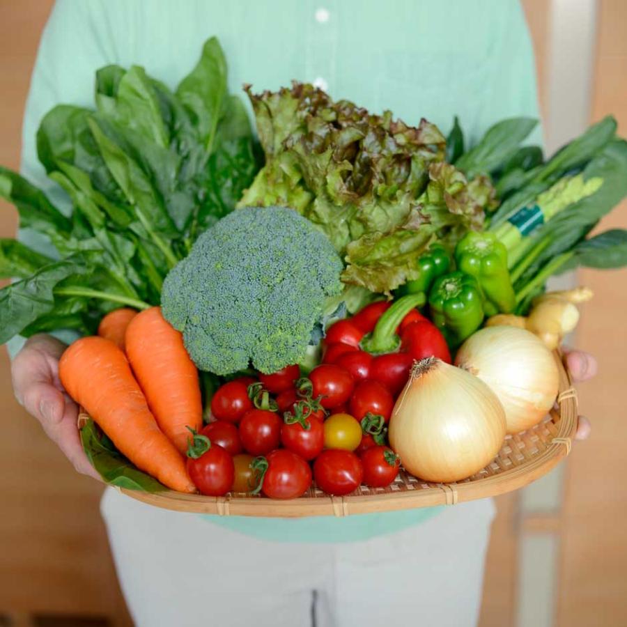 野菜誕生日 ギフト 8-9品 野菜つめ合わせ 誕生日祝い のし無料 クール