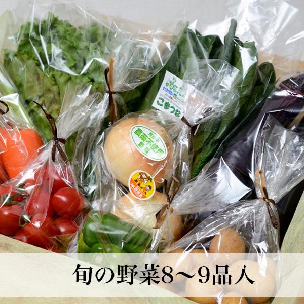 野菜お中元 お盆のお供え ギフト 8-9品 野菜つめ合わせ 誕生日祝い の