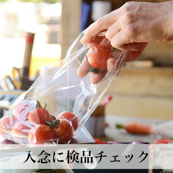 野菜お中元 お盆のお供え ギフト 8-9品 野菜つめ合わせ 誕生日祝い の