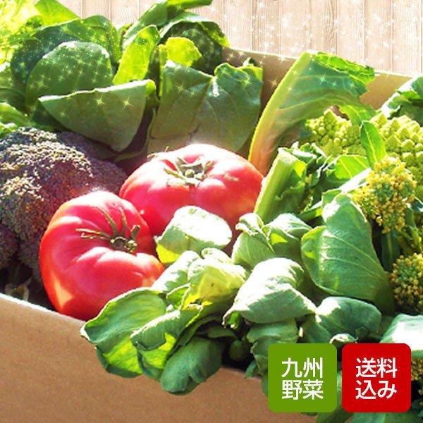 本店 宅送 野菜セット 10品 野菜詰め合わせ 九州産 敬老の日 ギフト クール便