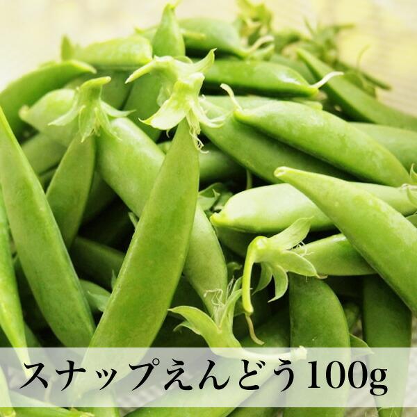 Japan Image 野菜豆種類