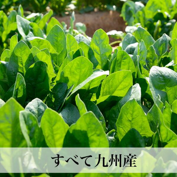 野菜と卵、果物付きセット 野菜つめあわせ お中元 お盆のお供え ギフト