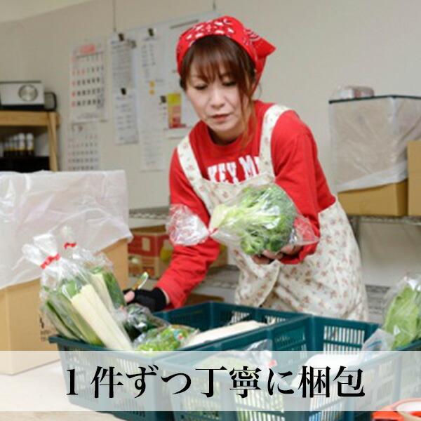 野菜と卵、果物付きセット 野菜つめあわせ 父の日 お中元 ギフト 誕生